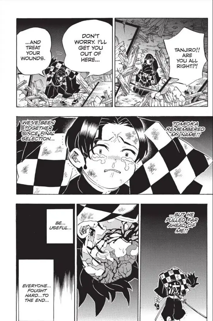 Demon Slayer Chapter 185 image 19_optimized